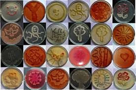 microbiolocgical-science