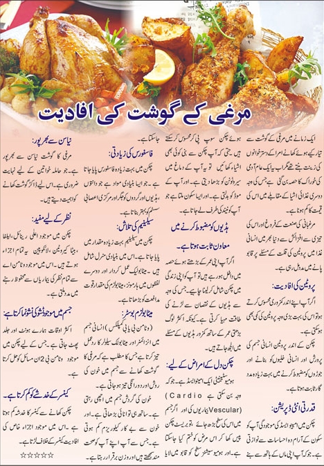 What Are The Key Benefits of Broiler Chicken? (Urdu-English)