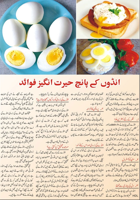 Top Five Very Important Benefits of Eggs-Tips in Urdu & English