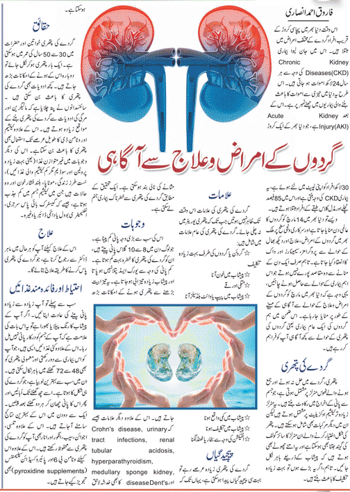 All About Kidney Disease & Its Treatment in Urdu & English Languages