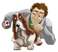 Scope of Veterinary Medicine in Pakistan, Courses, Jobs, Required Skills